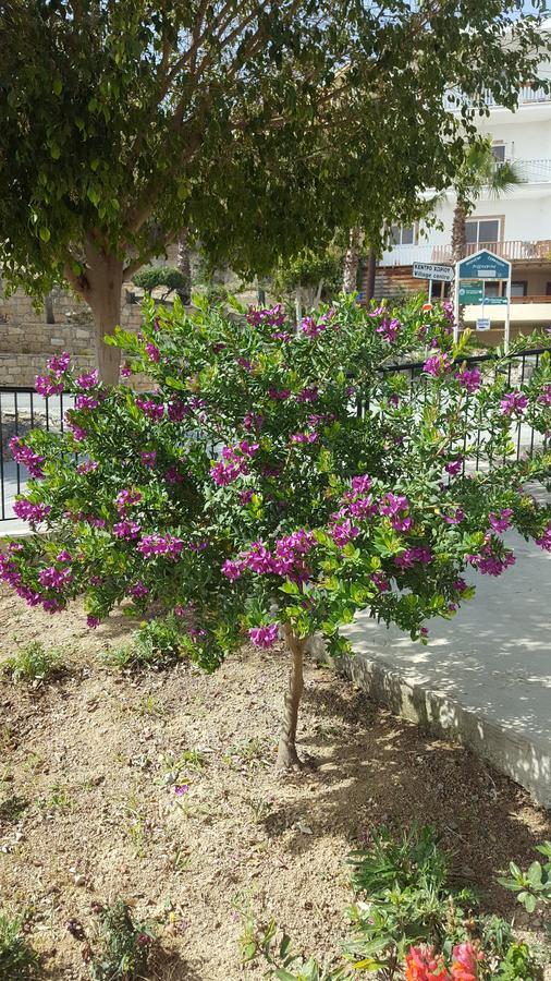 Lazaros Pissouri Apartments Экстерьер фото