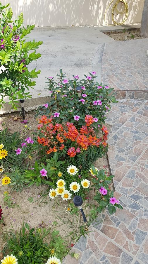 Lazaros Pissouri Apartments Экстерьер фото